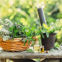 Discover various alternative therapies that may support your wellness journey and enhance your overall health.