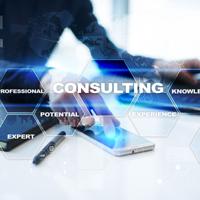 Business Consulting