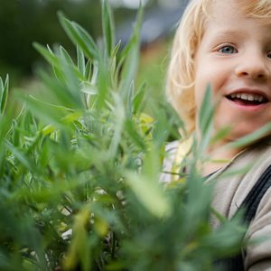In a vibrant garden, a cheerful child with golden curls joyfully embraces a bundle of greenery, embodying the spirit of childhood wonder and the beauty of nature. Surrounded by lush plants, their smile radiates pure happiness, inviting all to share in the simple joys of life.