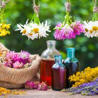 Healing Herbs