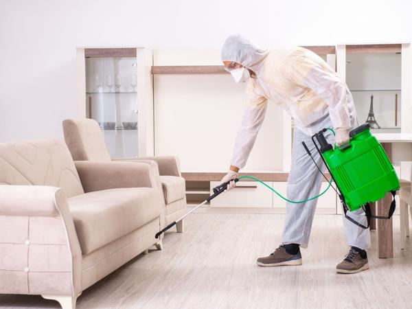 Pest Control Treatment