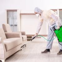 Pest Control Treatment