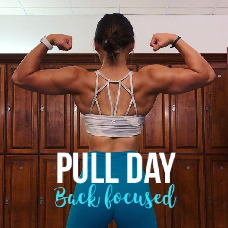 Pull day workout