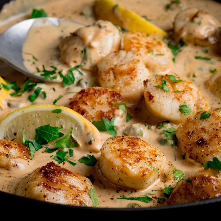 Seared scallops in creamy garlic sauce