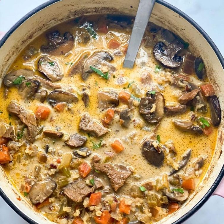 Beef and wild rice soup